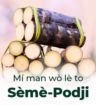 Sèmè-Podji, une promesse de fleuron industriel pétrie d'autres atouts